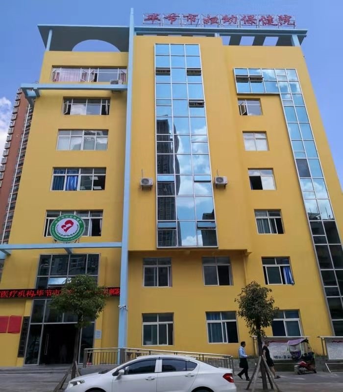 1577934388920693.jpg 02.jpg