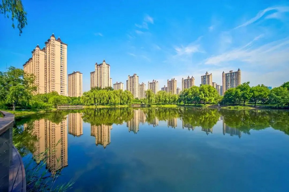 1663316011693339.jpg 5.jpg